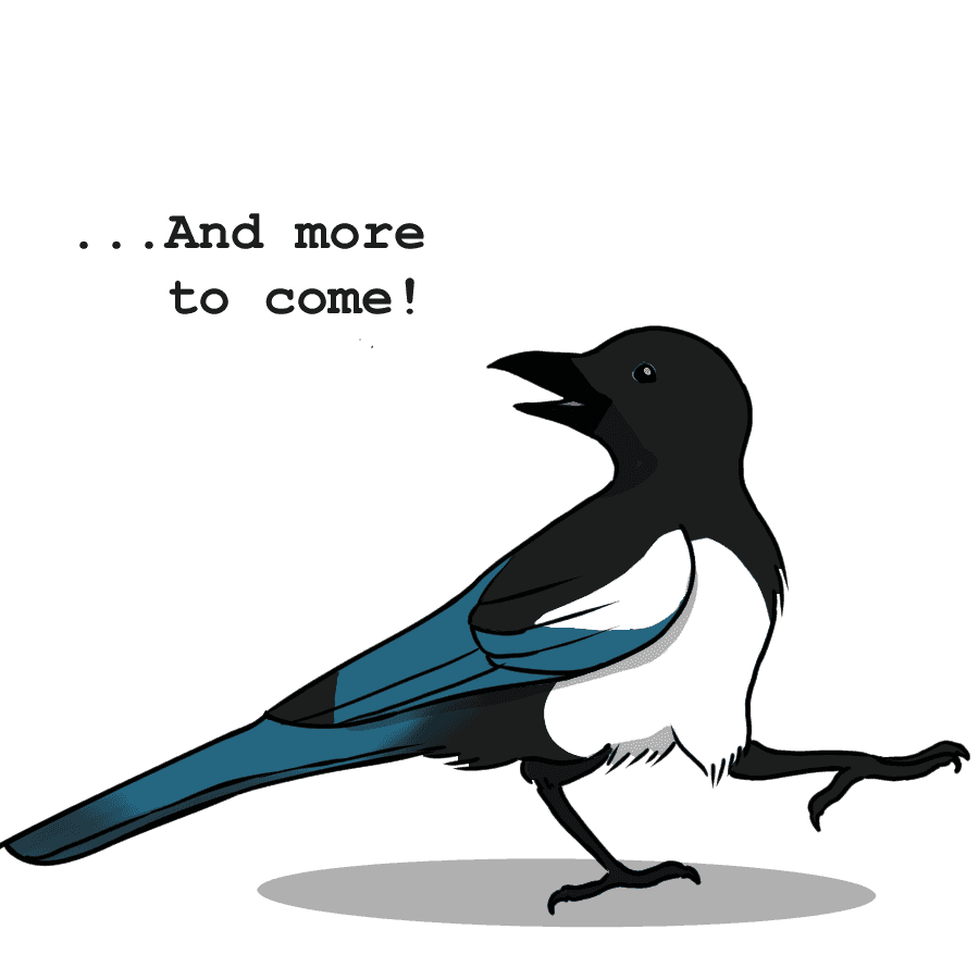 a cartoon image of a Magpie saying More to Come