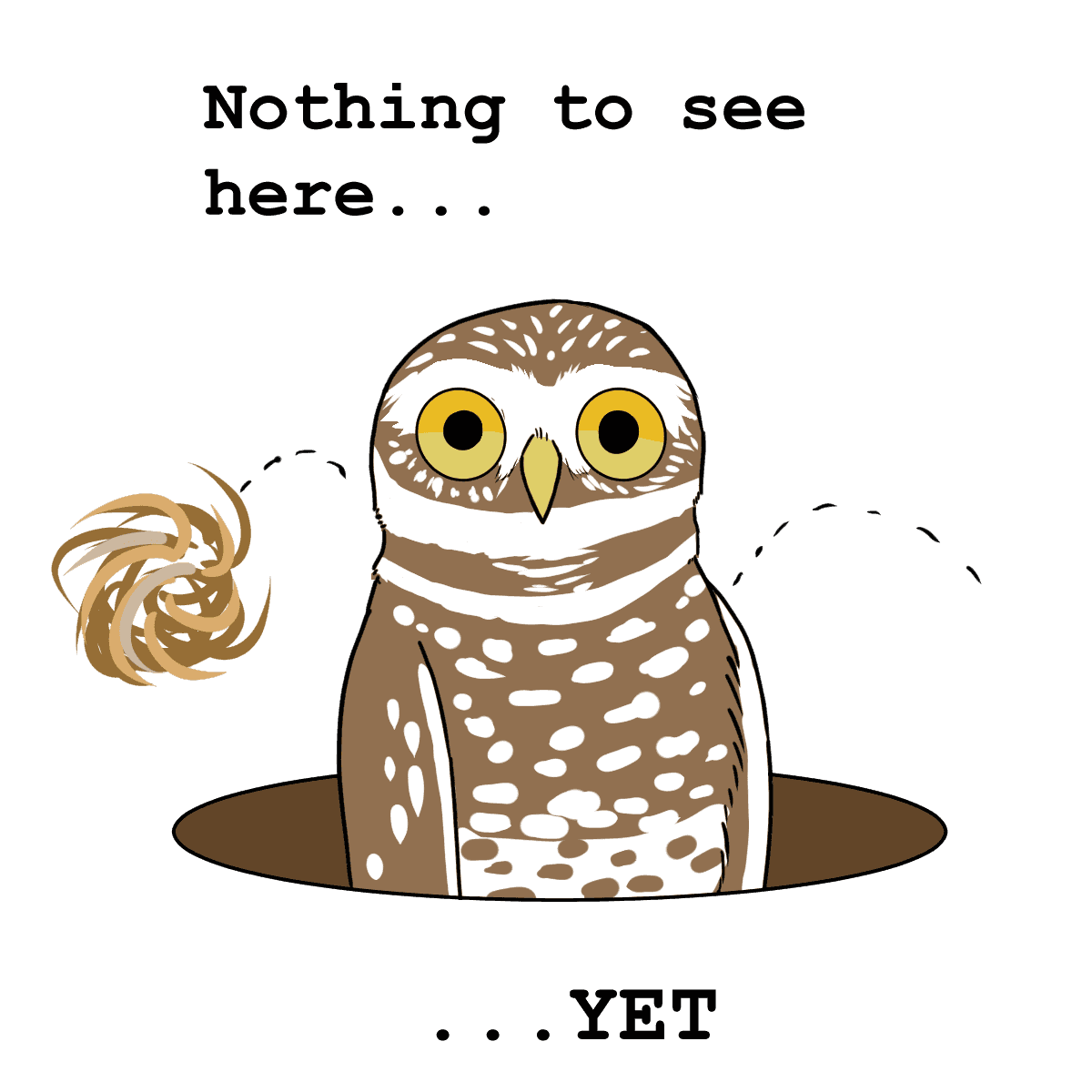 A cartoon burrowing owl with the message Nothing to See Here