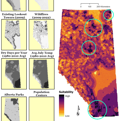 An image of the resulting map comparing phainopepla and mistletoe populations